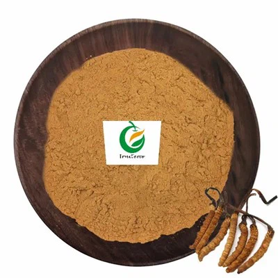 Εκχύλισμα Cordyceps Sinensis